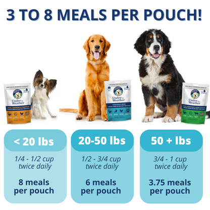 6 Flavor Bland Diet Pack