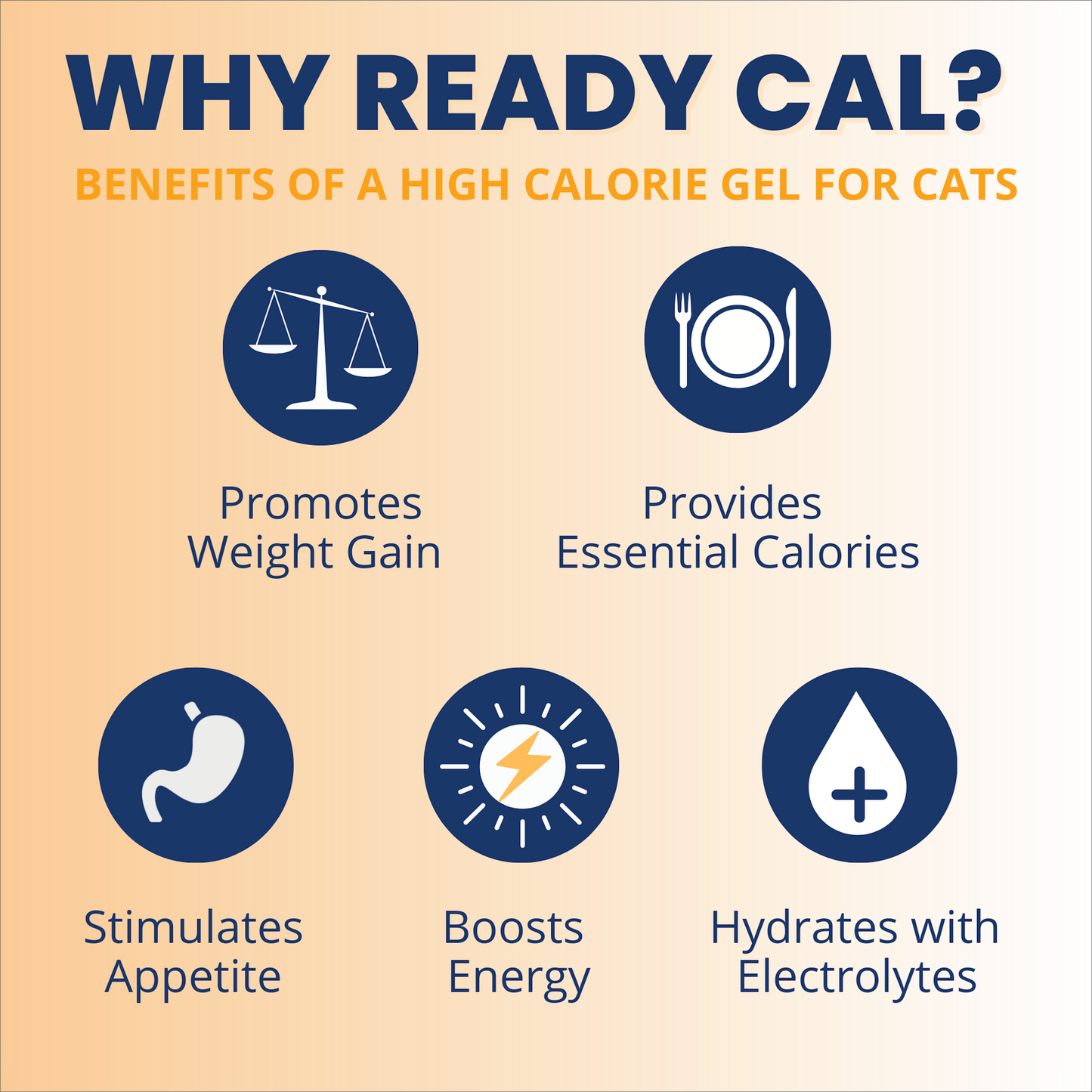 Ready Cal™ PLUS Electrolytes for Cats