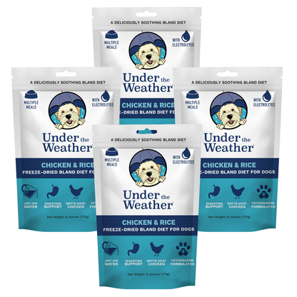 Chicken & Rice Bland Diet For Dogs - 4 Pack