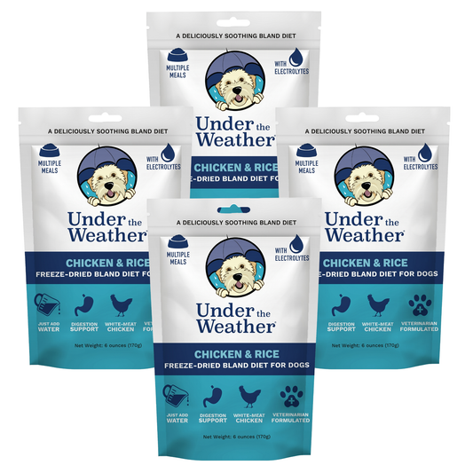 Chicken & Rice Bland Diet For Dogs - 4 Pack