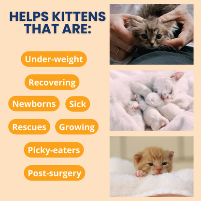 Ready Cal® High Calorie Powder for Kittens