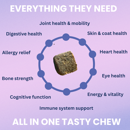 Multivitamin Daily Support for Dogs