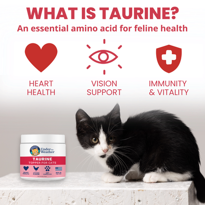 Taurine Powder Topper for Cats and Kittens