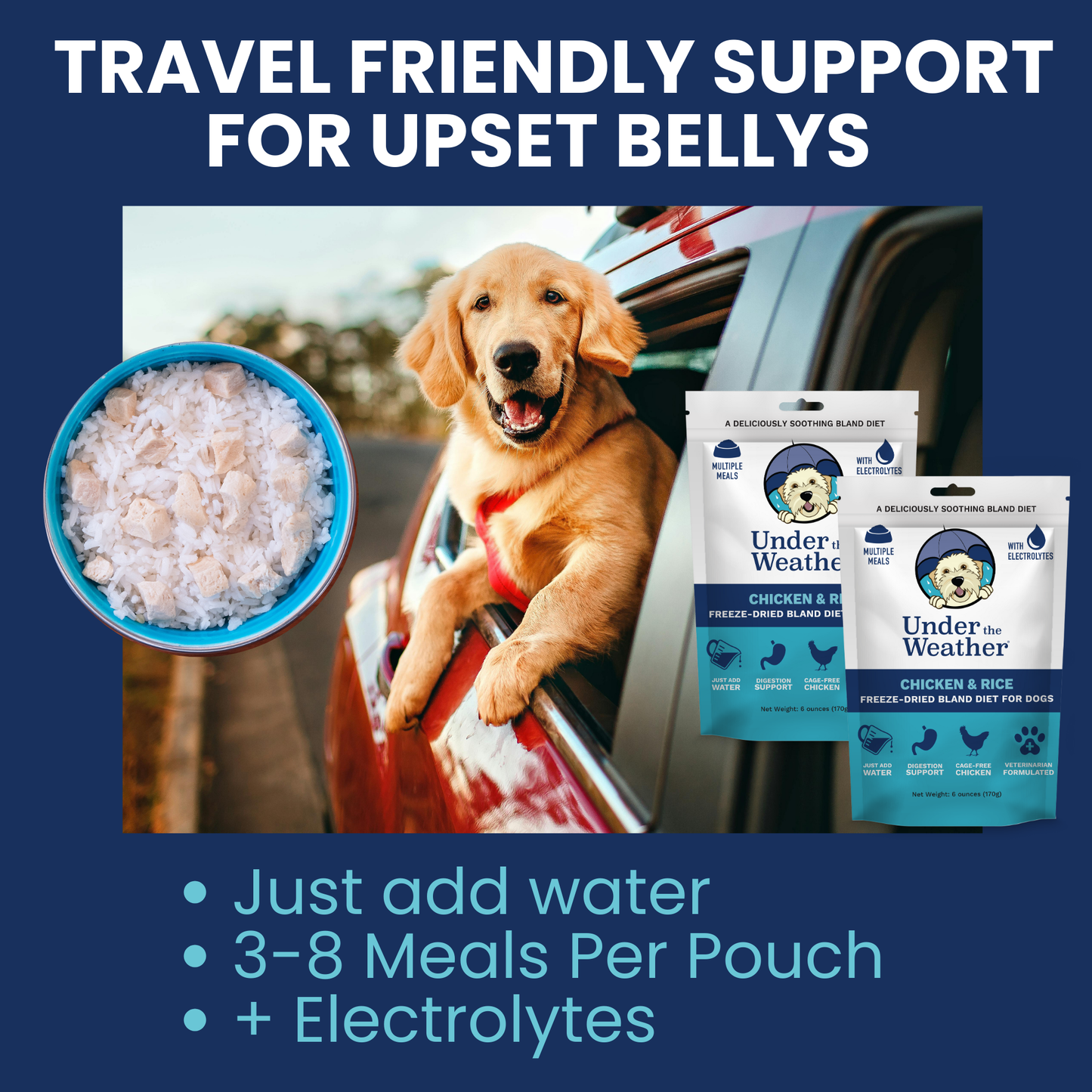 Travel Bundle For Dogs