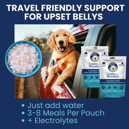 Travel Bundle For Dogs