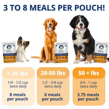 Chicken, Rice, & Pumpkin Bland Diet For Dogs
