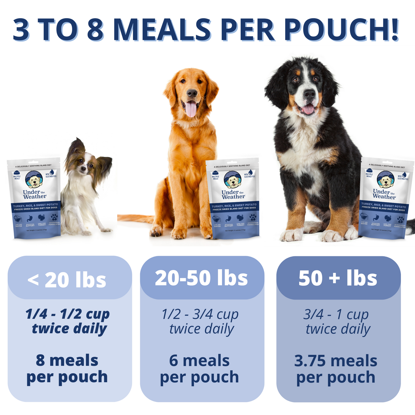 Turkey, Rice, & Sweet Potato Bland Diet For Dogs - 2 Pack