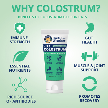 Vital Colostrum Squeezable Gel for Cats