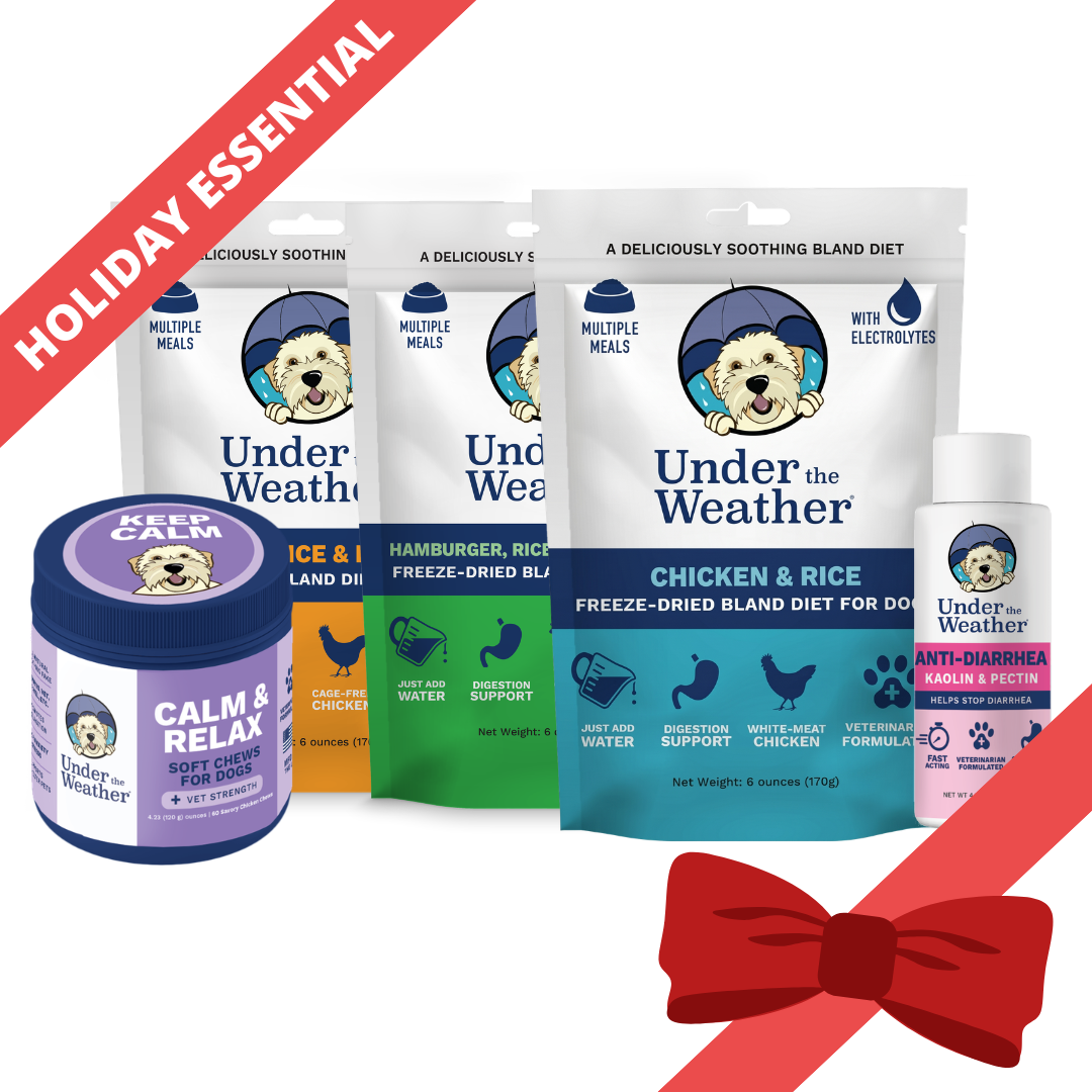 Holiday Survival Bundle For Dogs