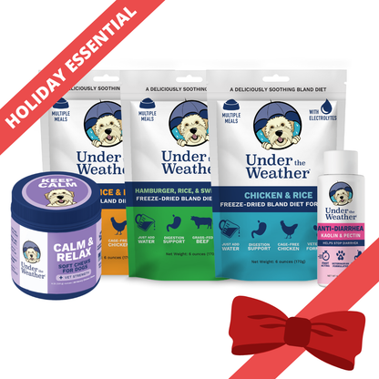 Holiday Survival Bundle For Dogs