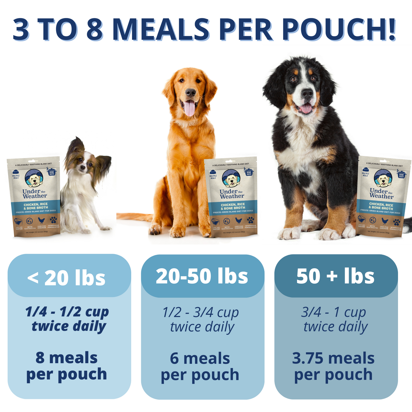 Chicken, Rice, & Bone Broth Bland Diet For Dogs