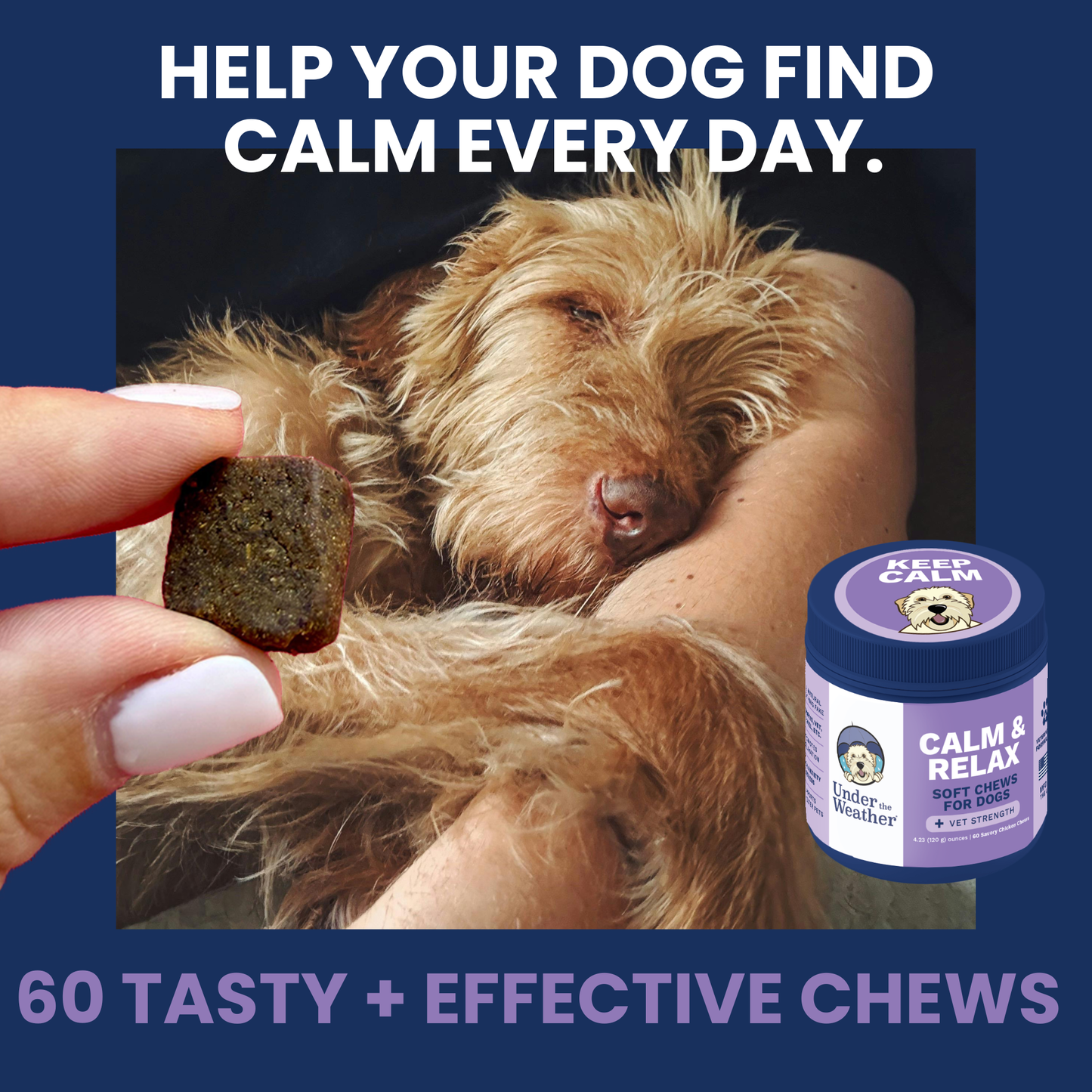 Calming Chews for Dogs