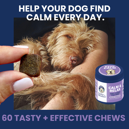 Calming Chews for Dogs