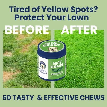 Nice Grass - Urine Neutralizer Chews For Dogs