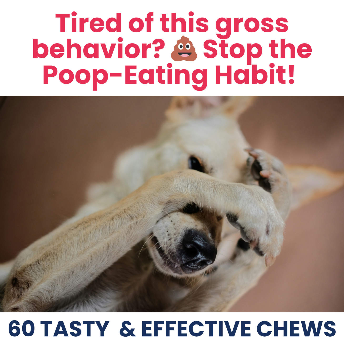 Poop Eating Deterrent - Coprophagia Chew For Dogs