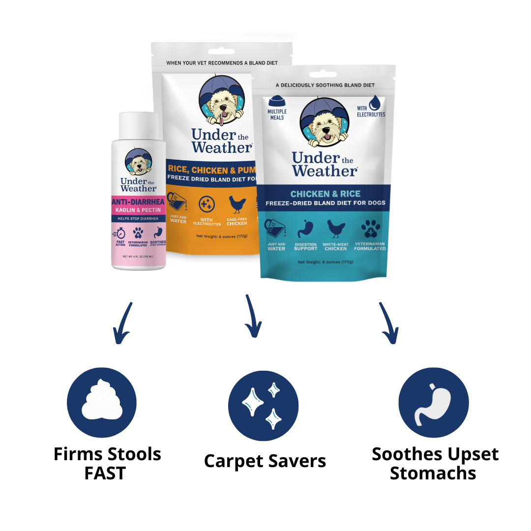Anti-Diarrhea Bundle For Dogs