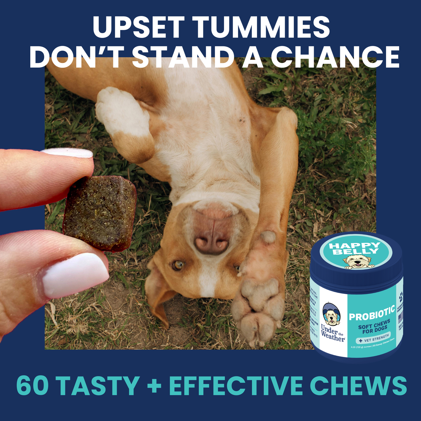 Probiotic Chews for Dogs