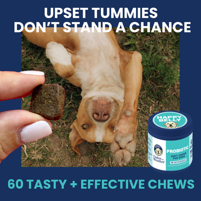 Probiotic Chews for Dogs
