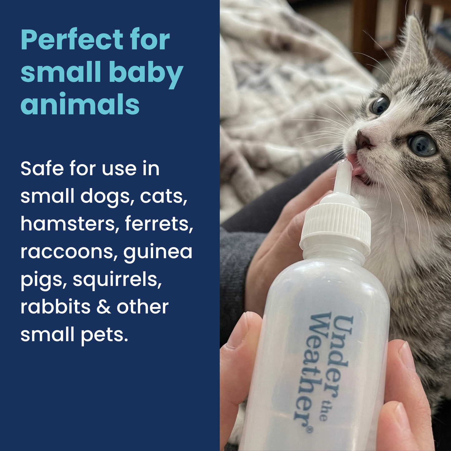 Nursing Kit for Kittens - 2oz