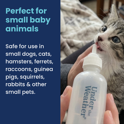 Nursing Kit for Kittens - 2oz