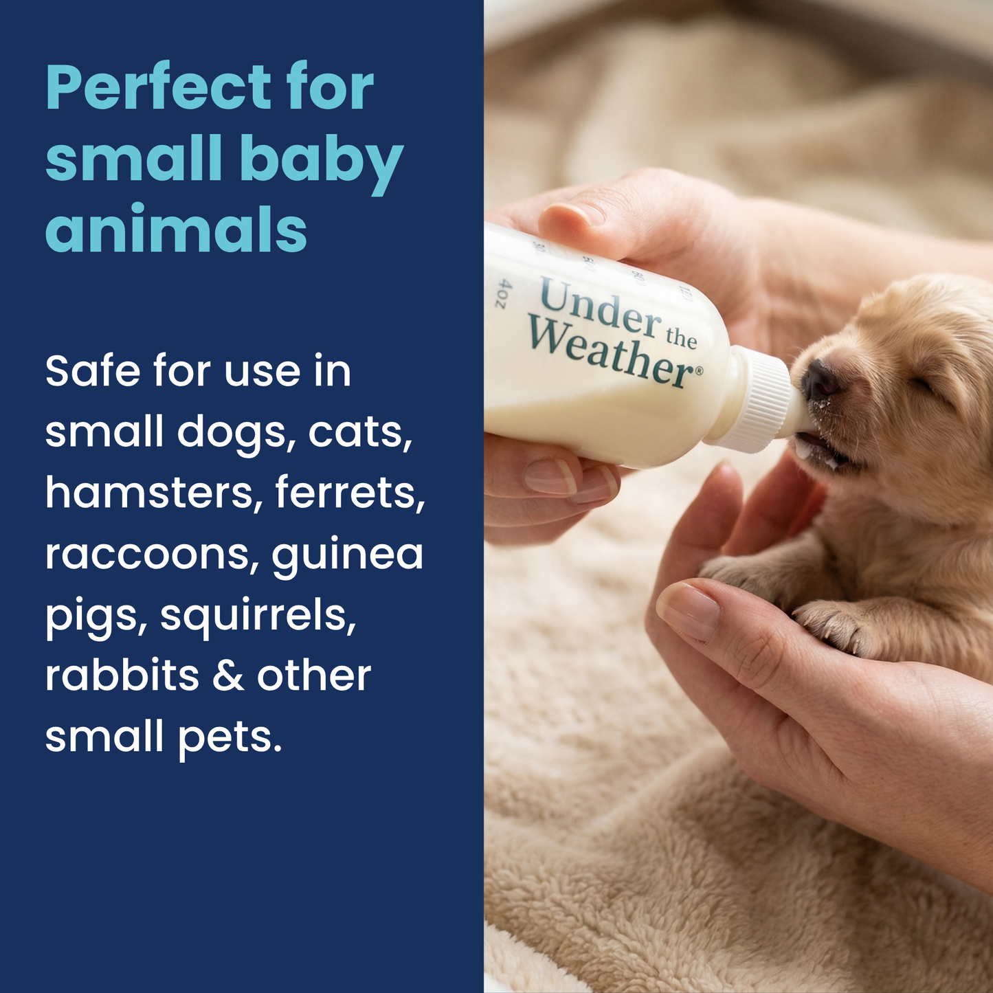 Nursing Kit for Puppies - 4oz