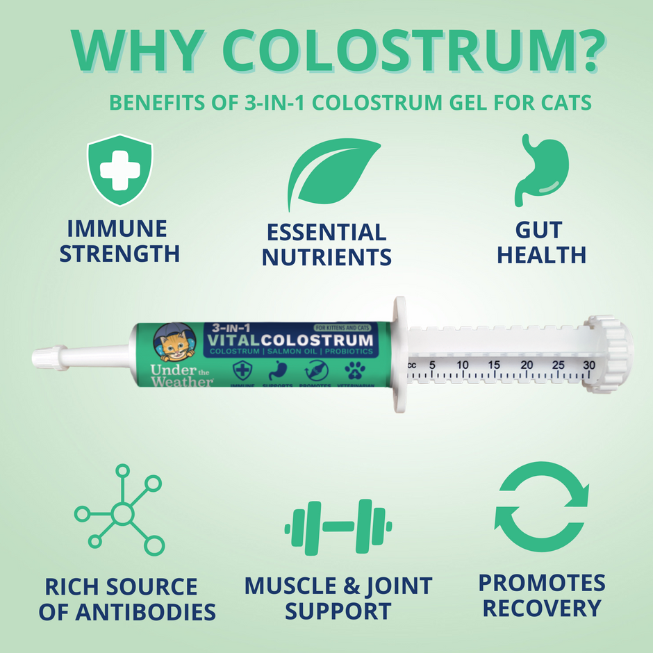 New Cat Supplements & Health Products | Under the Weather