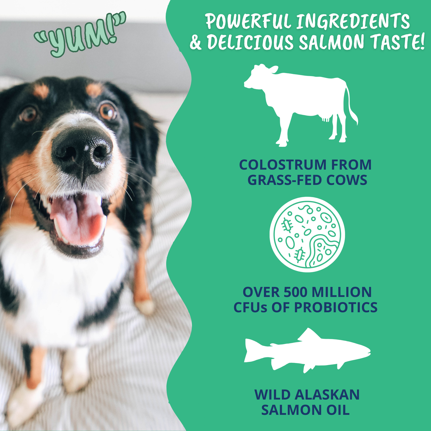 Vital Colostrum Squeezable Gel for Dogs