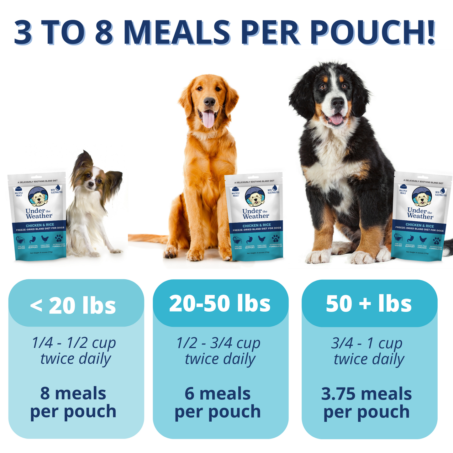 Chicken & Rice Bland Diet For Dogs