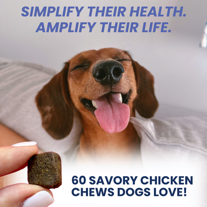 Multivitamin Daily Support for Dogs