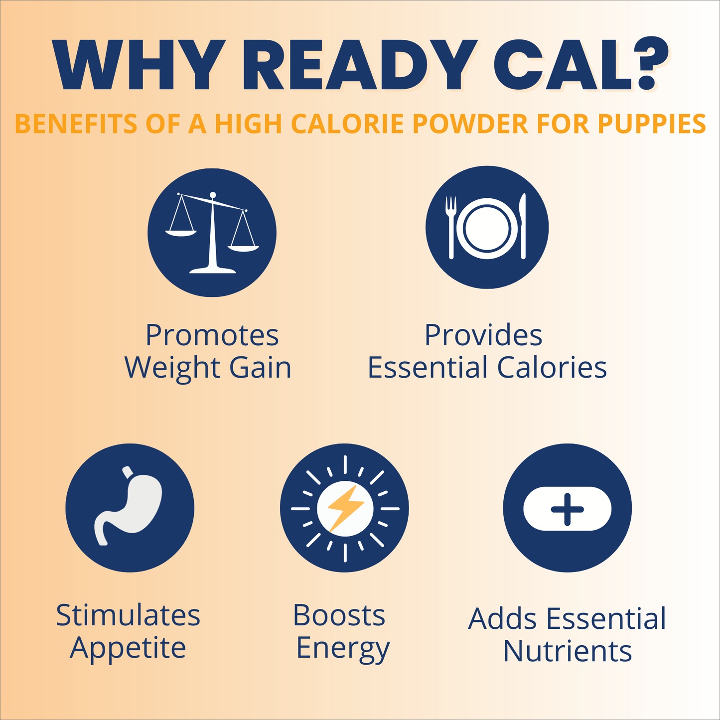 Ready Cal® High Calorie Powder for Puppies