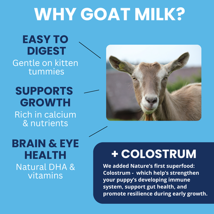 Goat Milk - Milk Replacer for Cats and Kittens + Colostrum