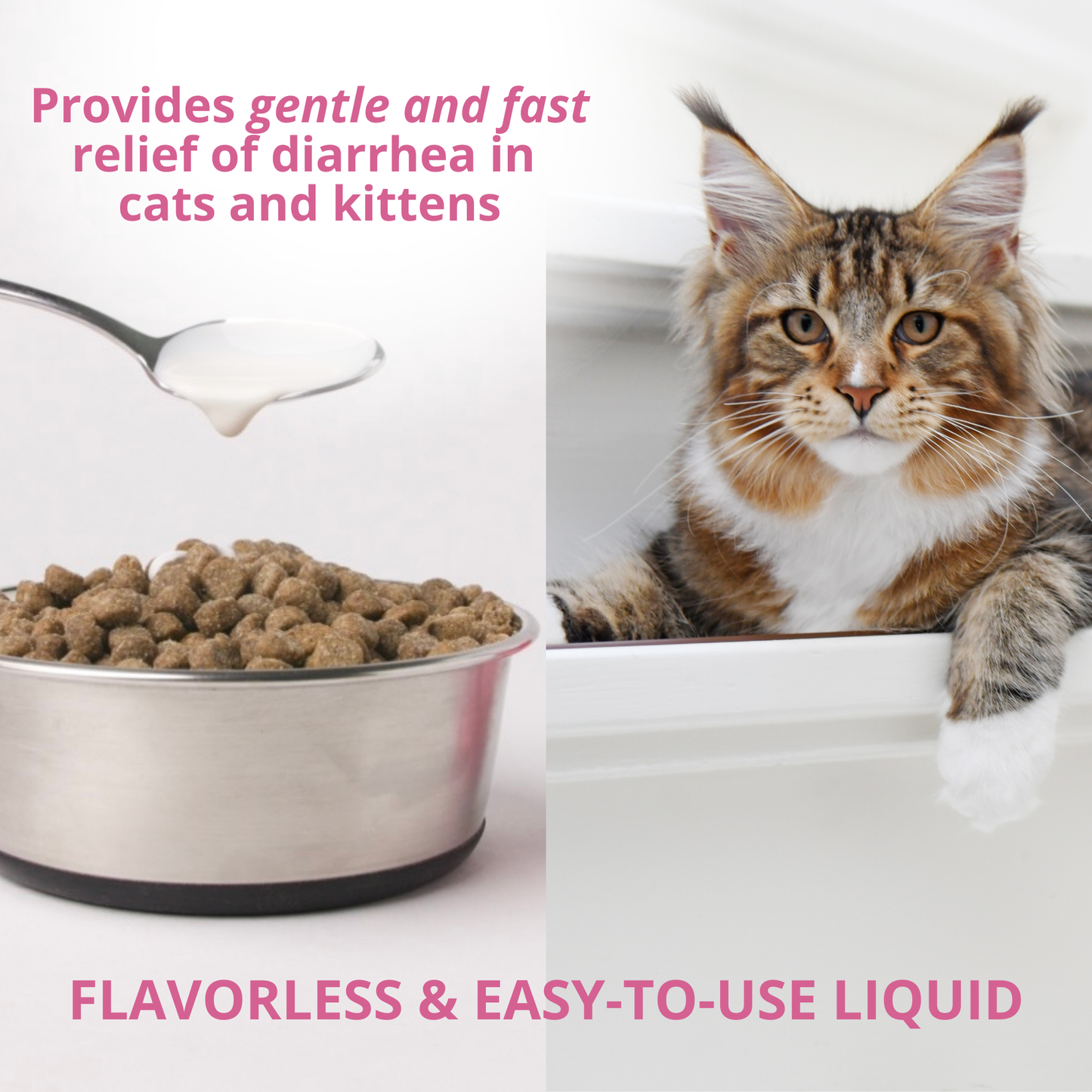 Cat food that helps with diarrhea outlet