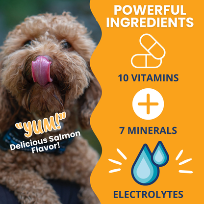 Ready Cal™ PLUS Electrolytes for Dogs
