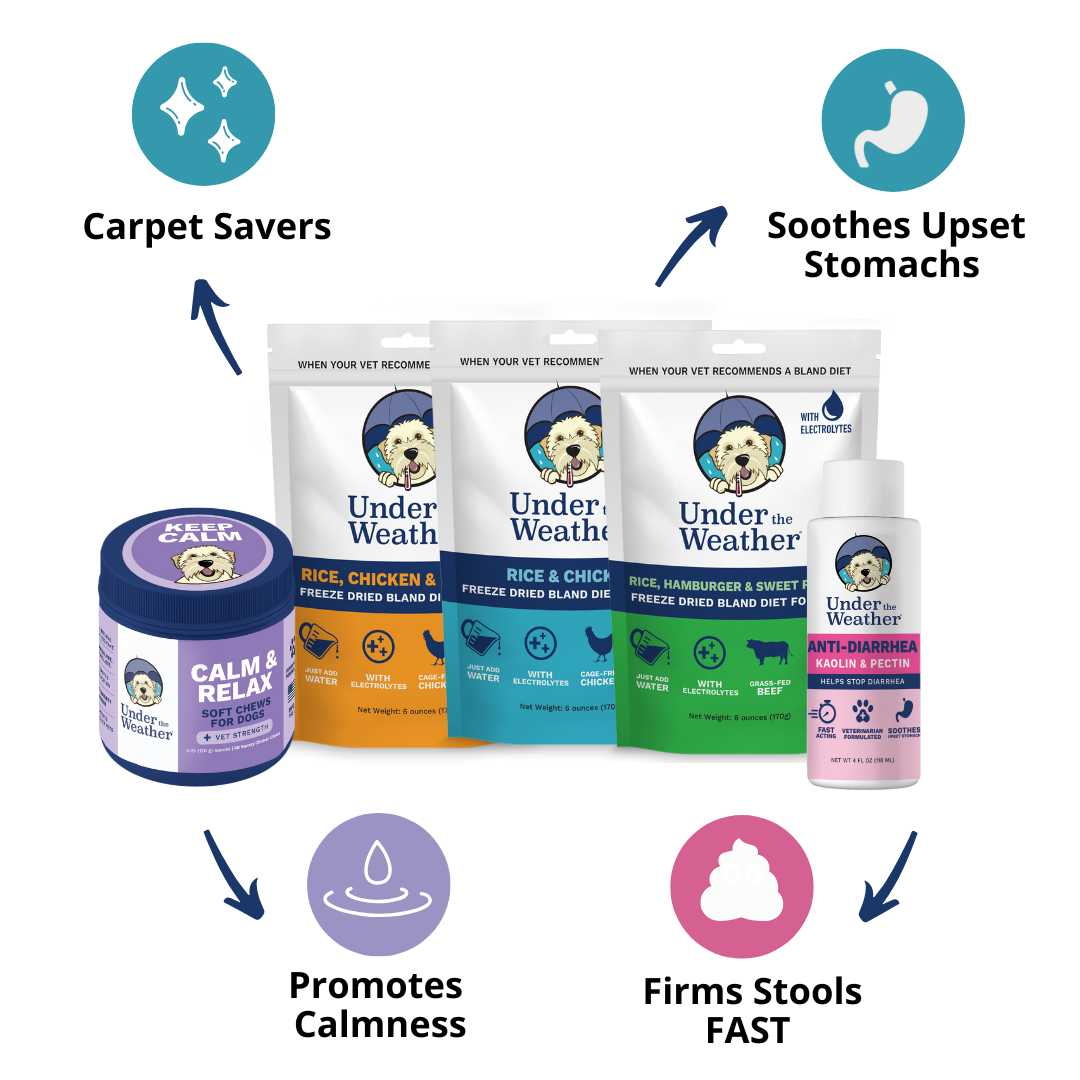 Holiday Survival Bundle For Dogs