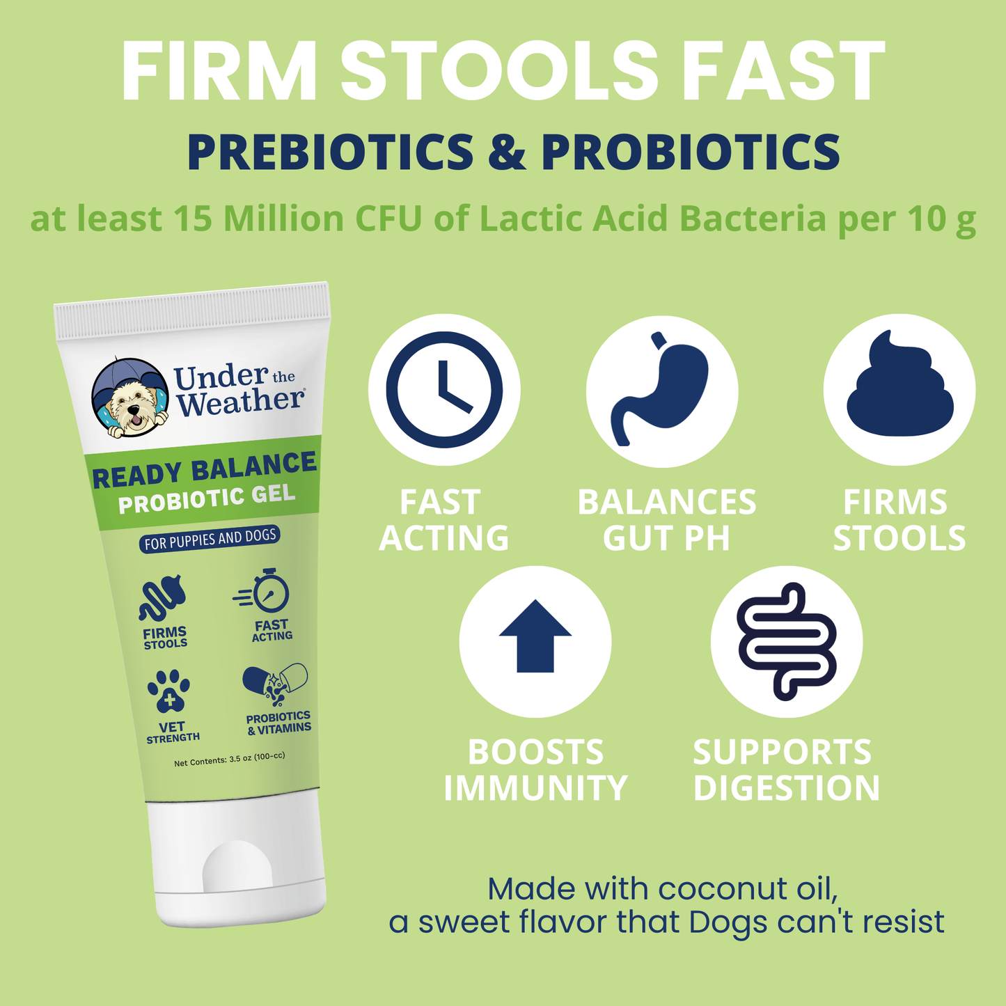 Travel Bundle For Dogs