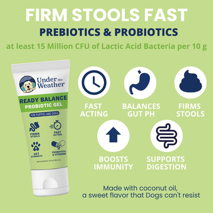 Travel Bundle For Dogs