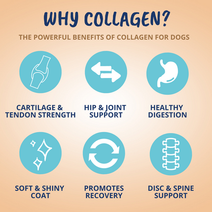 Collagen Chews for Dogs