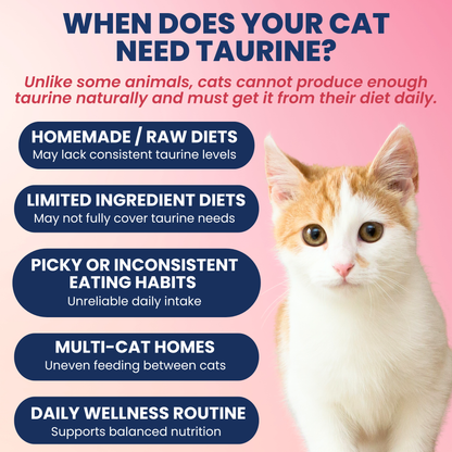 Taurine Powder Topper for Cats and Kittens