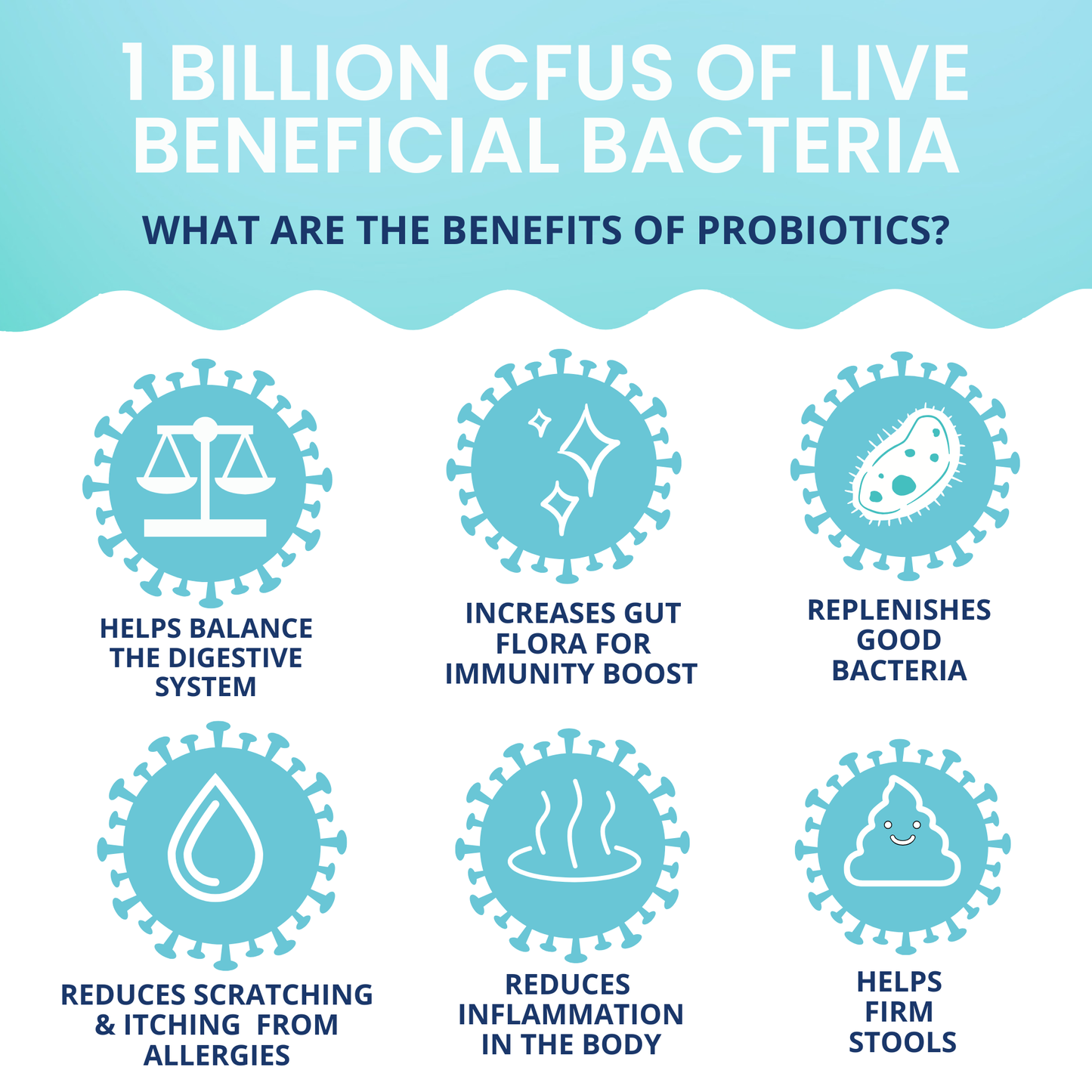 Probiotic Chews for Dogs