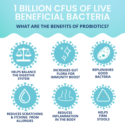 Probiotic Chews for Dogs