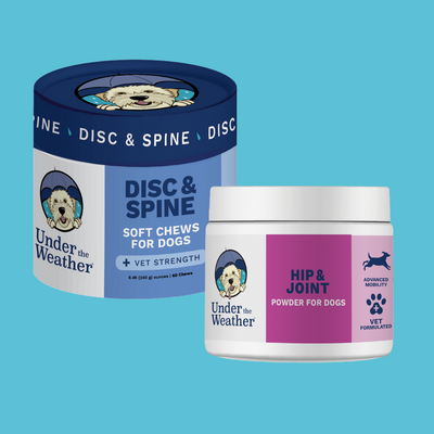 Set of dog healthcare products including anti-diarrhea, soft chews, and a syringe.