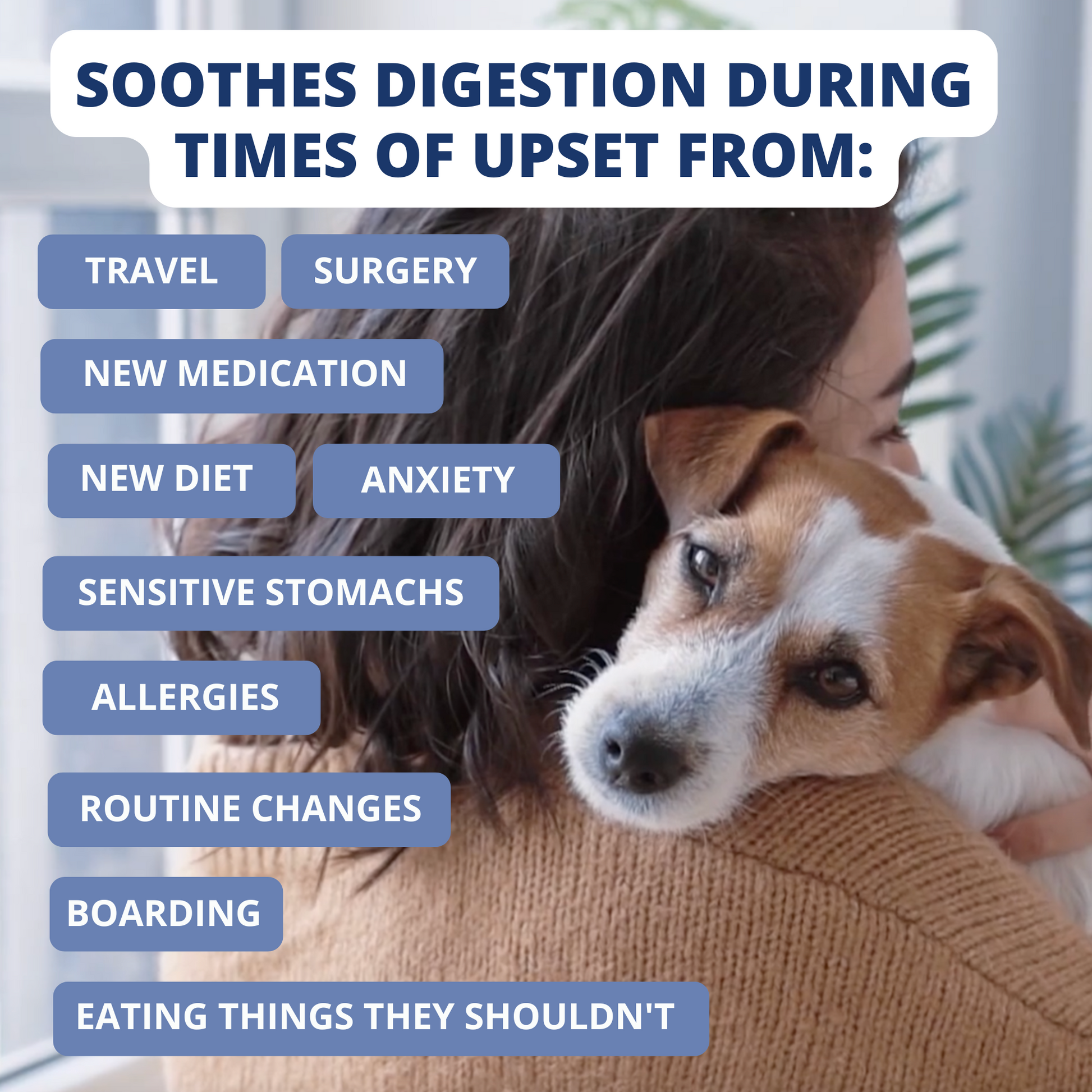 Turkey Sweet Potato Bland Diet For Dogs Pack – Under the Weather