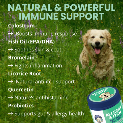 Allergy and Itch Immune Support Chews for Dogs