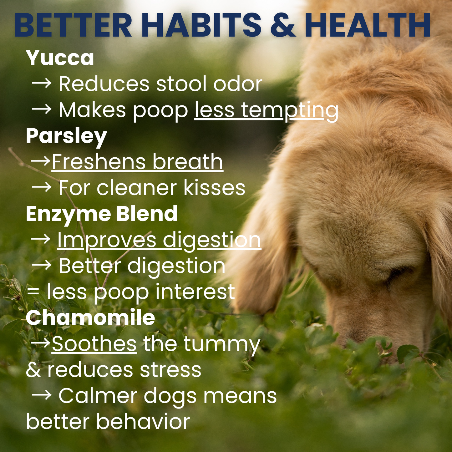 Poop Eating Deterrent - Coprophagia Chew For Dogs