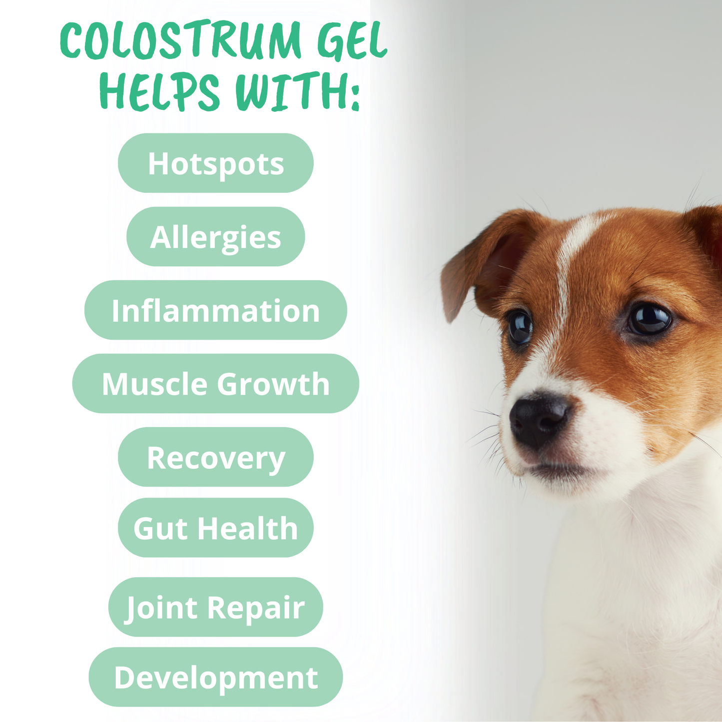 Vital Colostrum Squeezable Gel for Dogs