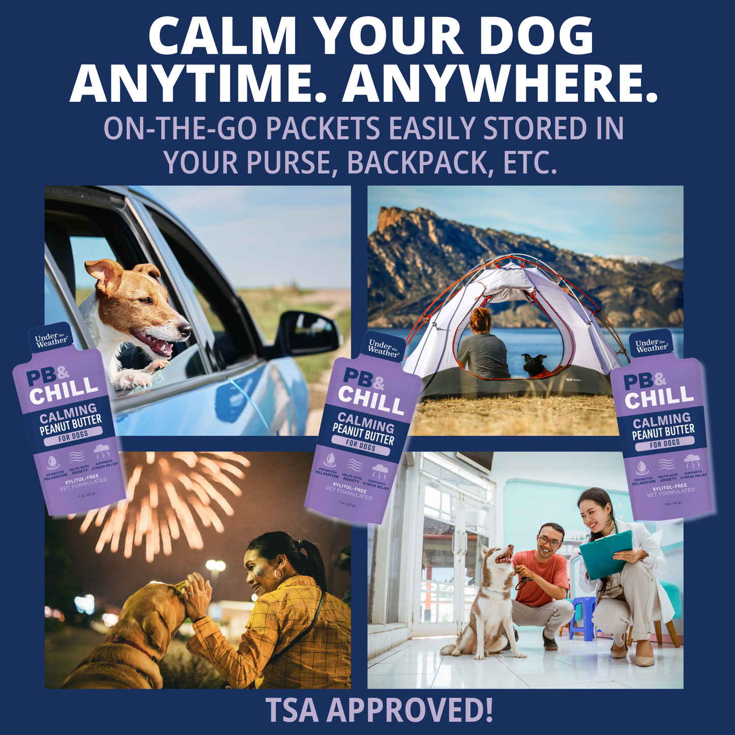 Travel Bundle For Dogs