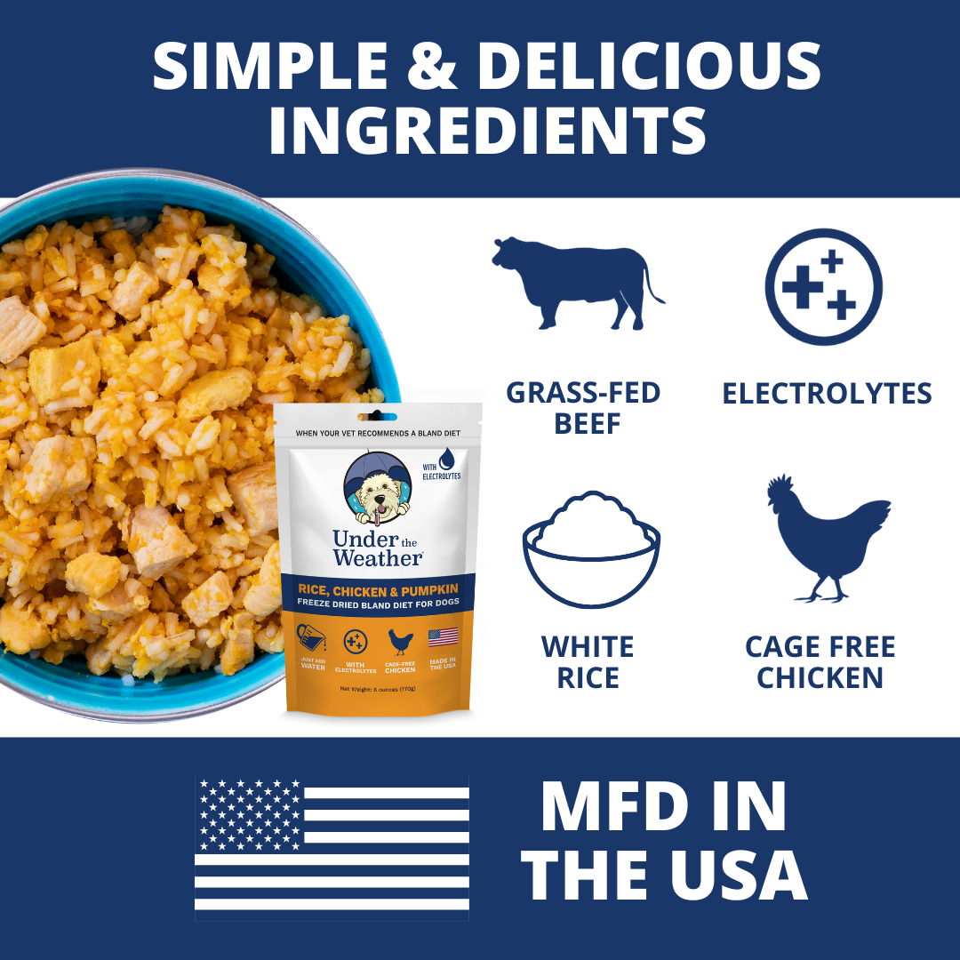 Holiday Survival Bundle For Dogs