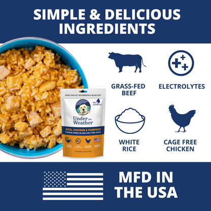 Holiday Survival Bundle For Dogs