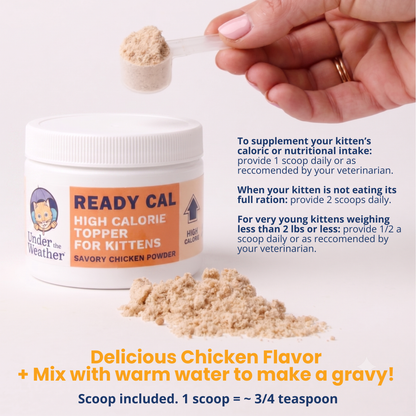 Ready Cal® High Calorie Powder for Kittens
