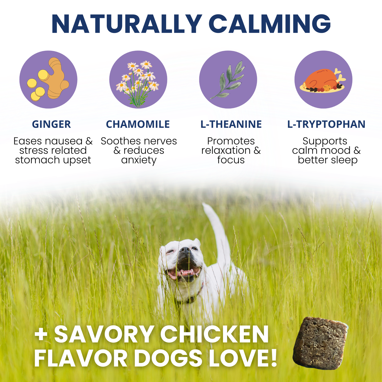 Calming Chews for Dogs